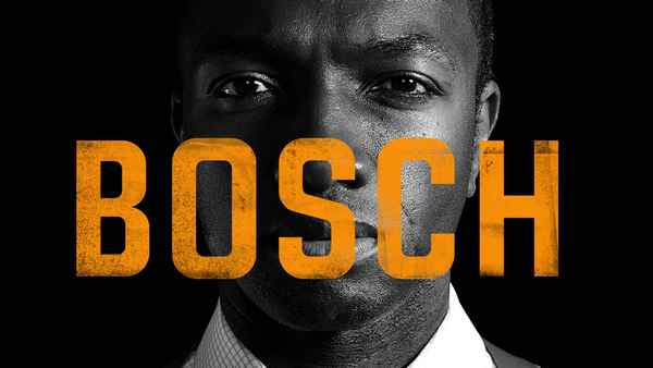 Bosch Poster 4