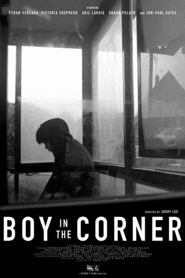 Boy in the Corner Poster 2