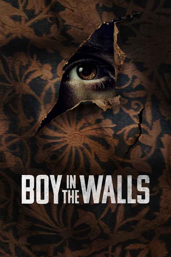 Boy in the Walls Poster 4