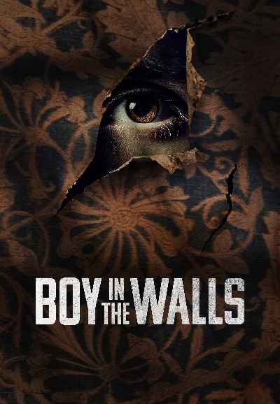 Boy in the Walls