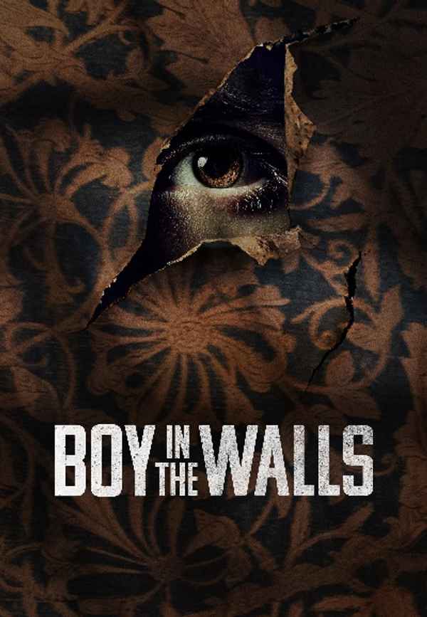 Boy in the Walls Poster 5
