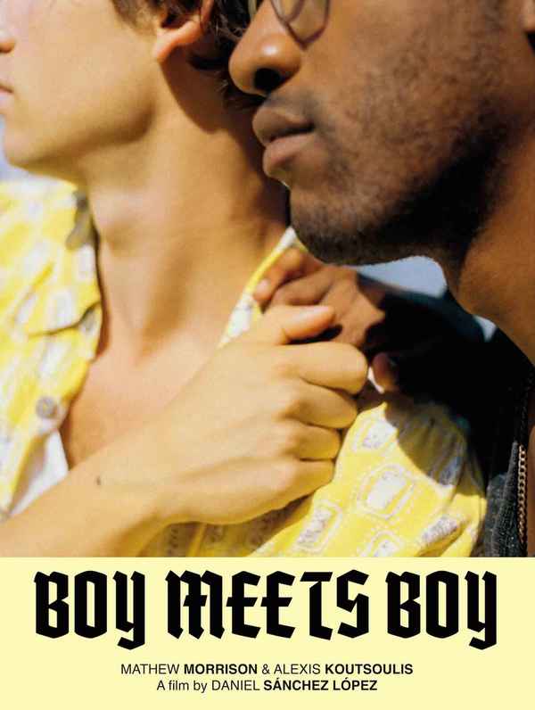 Boy Meets Boy Poster 3