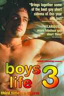 Boys Life 3 Poster 2