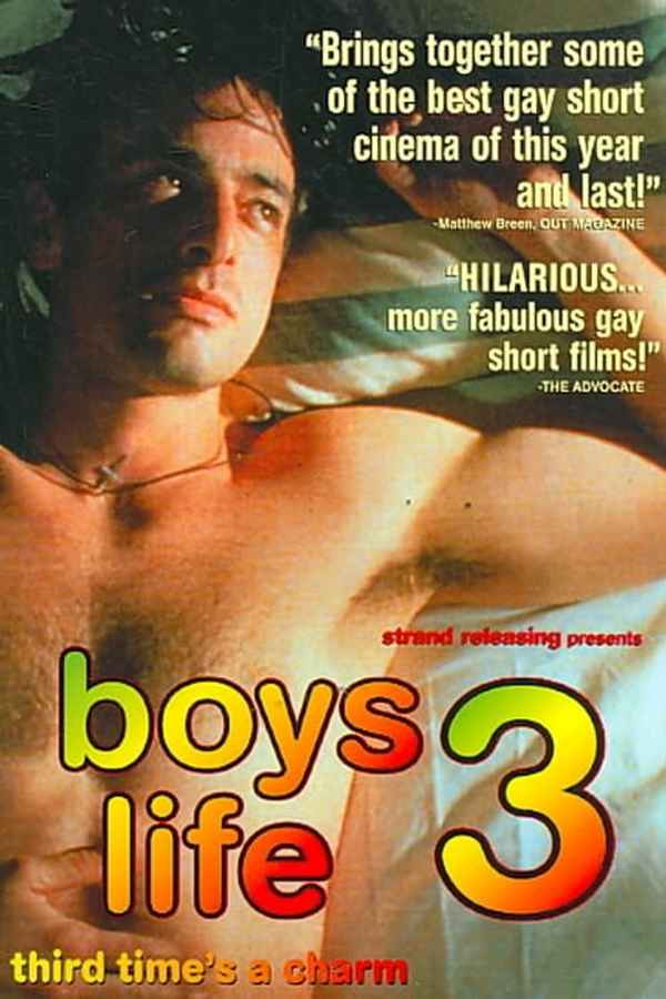 Boys Life 3 Poster 2