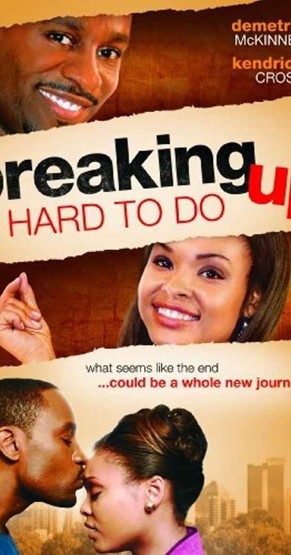 Breaking Up Is Hard to Do Poster 5