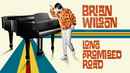 Brian Wilson: Long Promised Road Poster 1