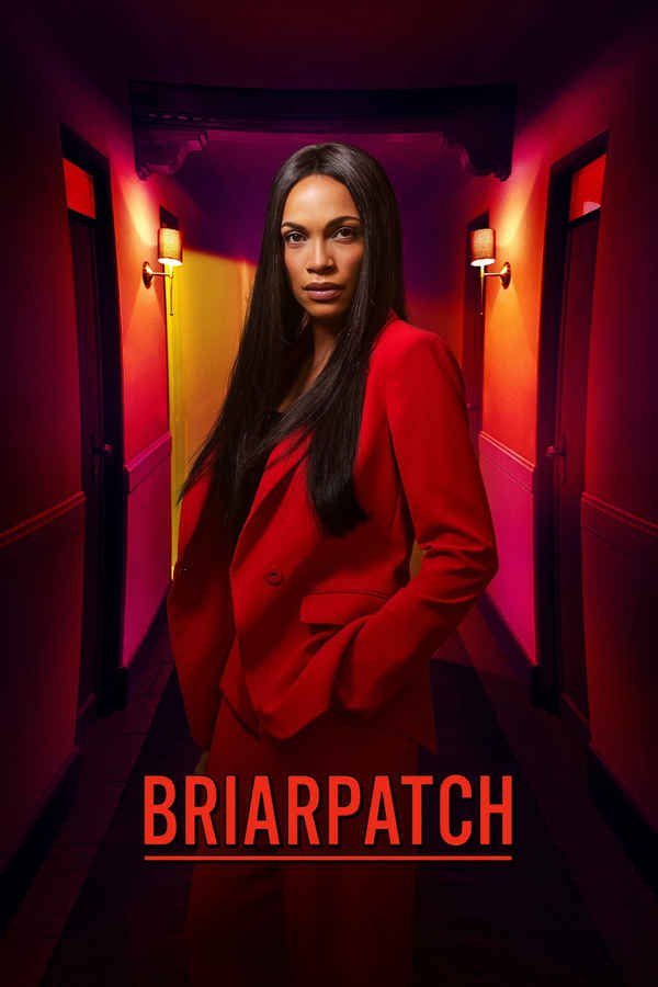 Briarpatch Poster 4