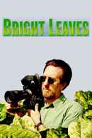 Bright Leaves Poster 4