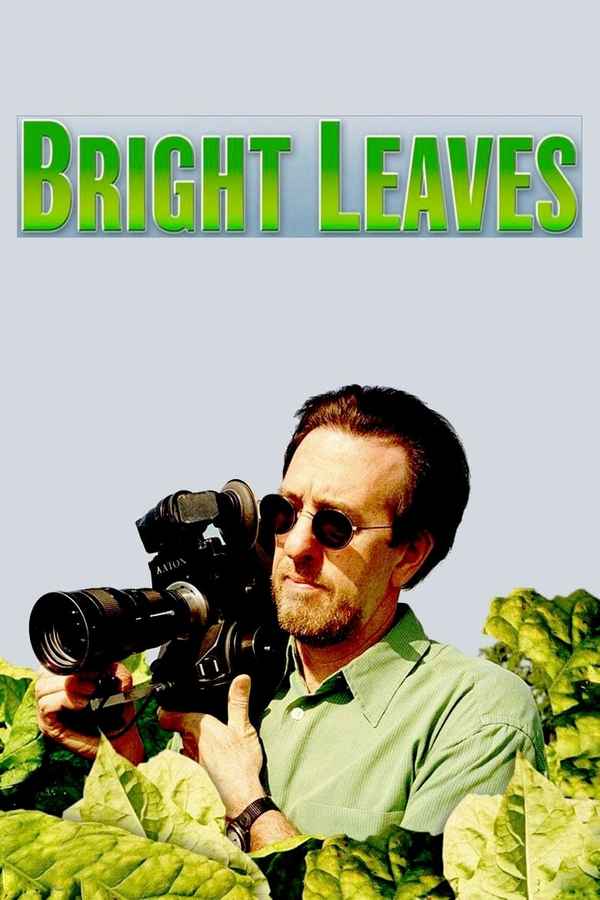 Bright Leaves Poster 4