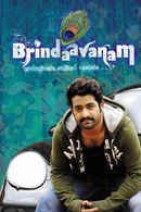 Brindaavanam Poster 5