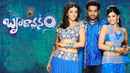 Brindavanam Poster 1