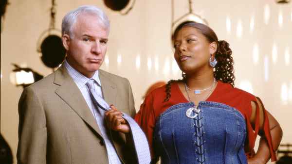 Bringing Down the House Poster 4