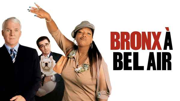 Bringing Down the House Poster 5