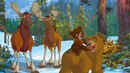 Brother Bear 2 Poster 2