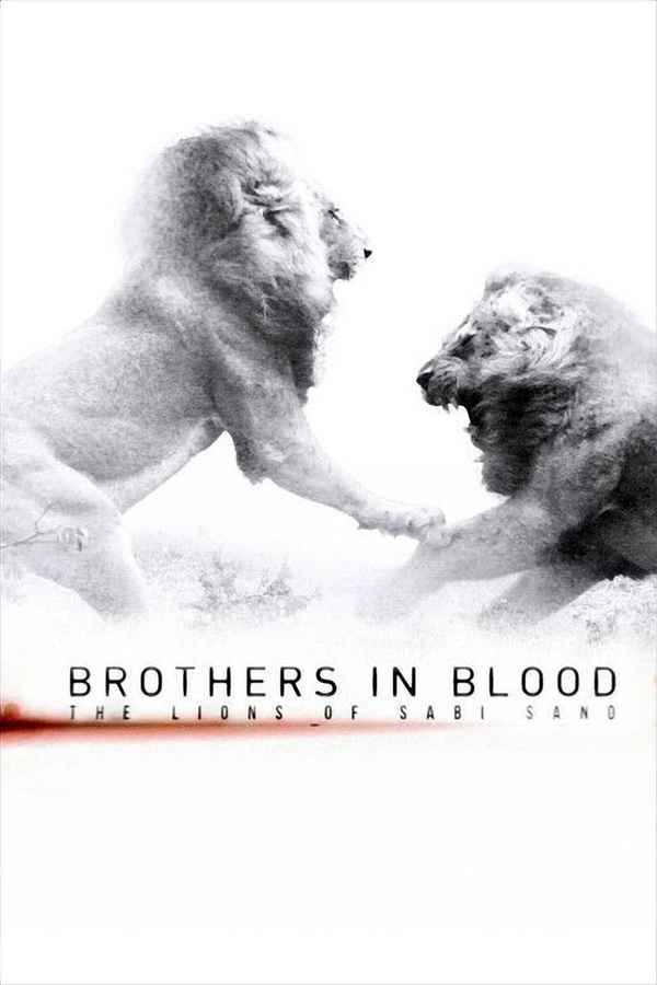 Brothers in Blood: The Lions of Sabi Sand Poster 5