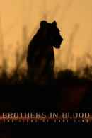 Brothers in Blood: The Lions of Sabi Sand Poster 6