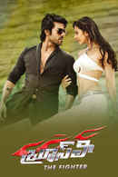 Bruce Lee: The Fighter Poster 6