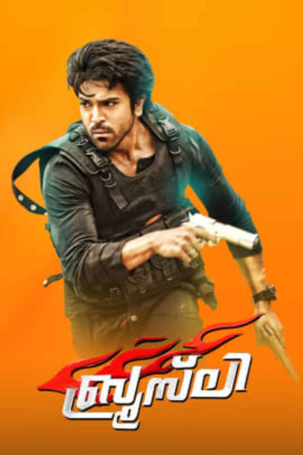 Bruce Lee: The Fighter Poster 7