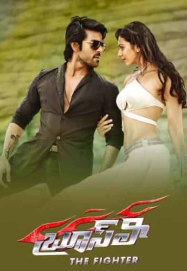 Bruce Lee: The Fighter Poster 4