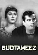 Budtameez Poster 6