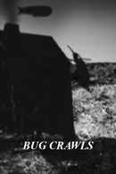 Bug Crawls Poster 4