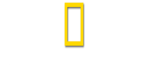 Building Wild Poster 5