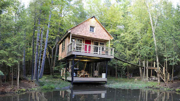 Building Wild Poster 6