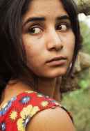 Bulbul Can Sing Poster 6