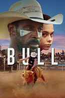 Bull Poster 2