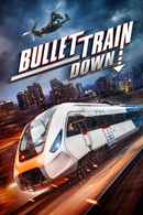 Bullet Train Down Poster 2