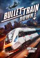 Bullet Train Down Poster 5