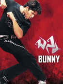 Bunny Poster 2