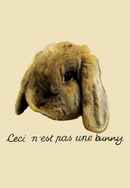 Bunny Poster 6