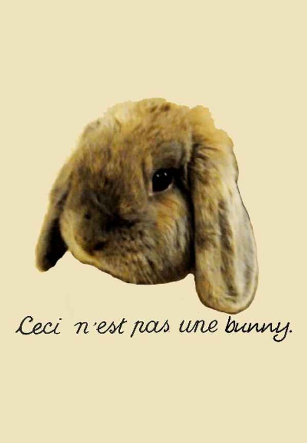 Bunny Poster 6