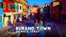 Burano Town Venice, Italy Poster 2