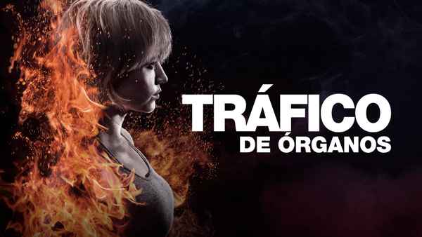 Burn It All Poster 1