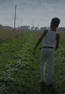 Burning Cane Poster 6