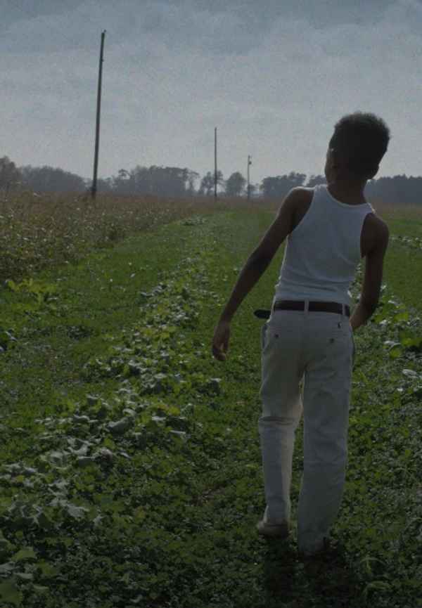 Burning Cane Poster 6