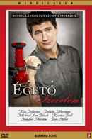 Burning Love Poster 6