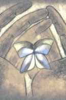 Butterflies Poster 4