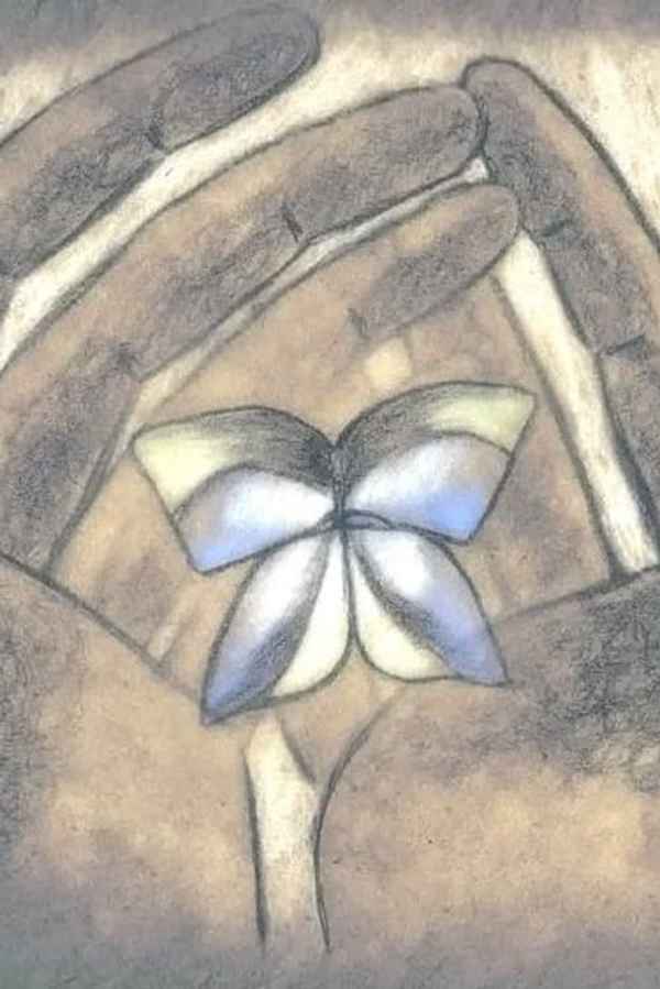 Butterflies Poster 4