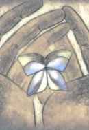 Butterflies Poster 7