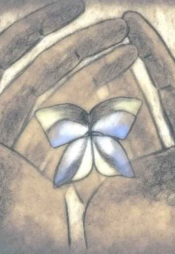 Butterflies Poster 7