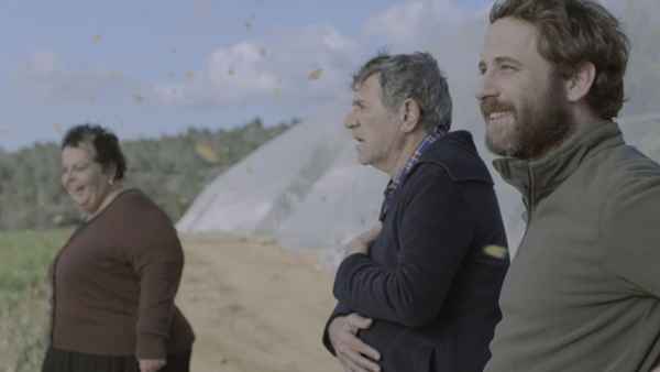 Butterflies Poster 2