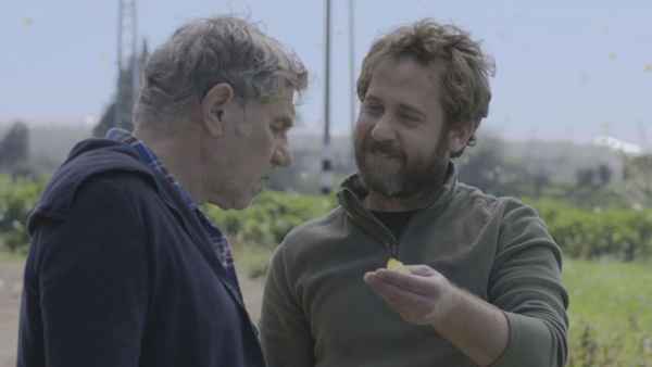 Butterflies Poster 3