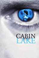 Cabin by the Lake Poster 6