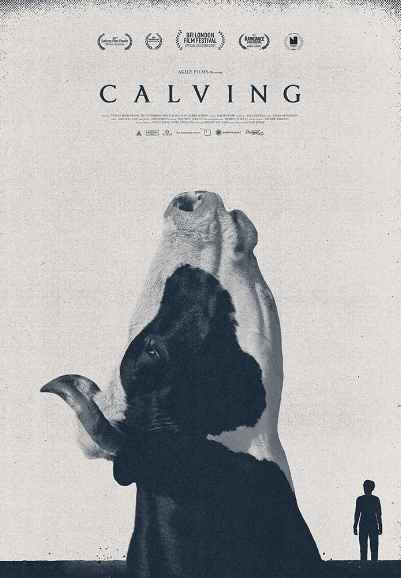 Calving
