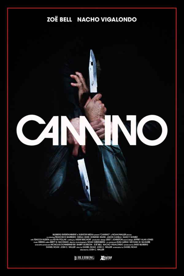 Camino Poster 1