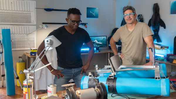 Camo Sharks Poster 4