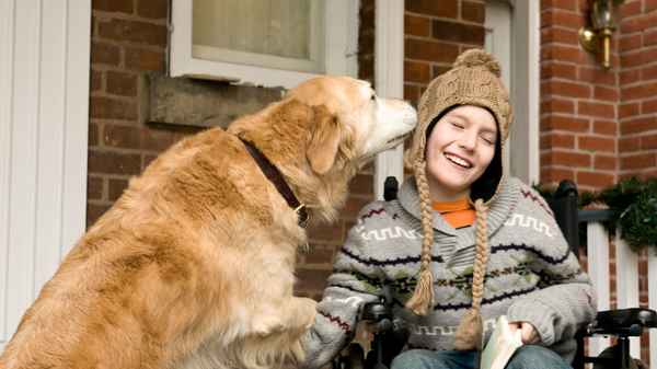 Cancel Christmas Poster 6